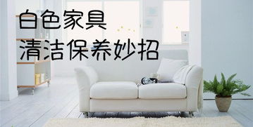 白色家居養(yǎng)護指南 從日常清潔到深層維護的完整攻略